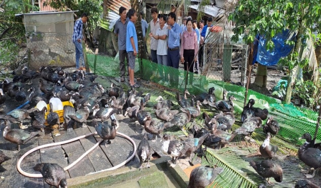 LONG HỒ TỔ CHỨC HỘI THẢO MÔ HÌNH NUÔI VỊT XIÊM PHÁP THEO HƯỚNG AN TOÀN SINH HỌC