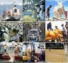 Chính sách mới của Chính phủ về nông nghiệp