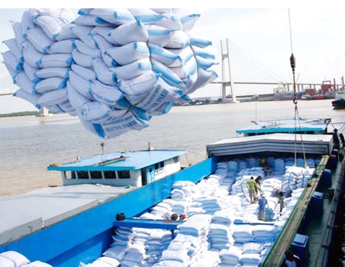 Một số thị trường nhập khẩu gạo đồ lớn tại châu Phi