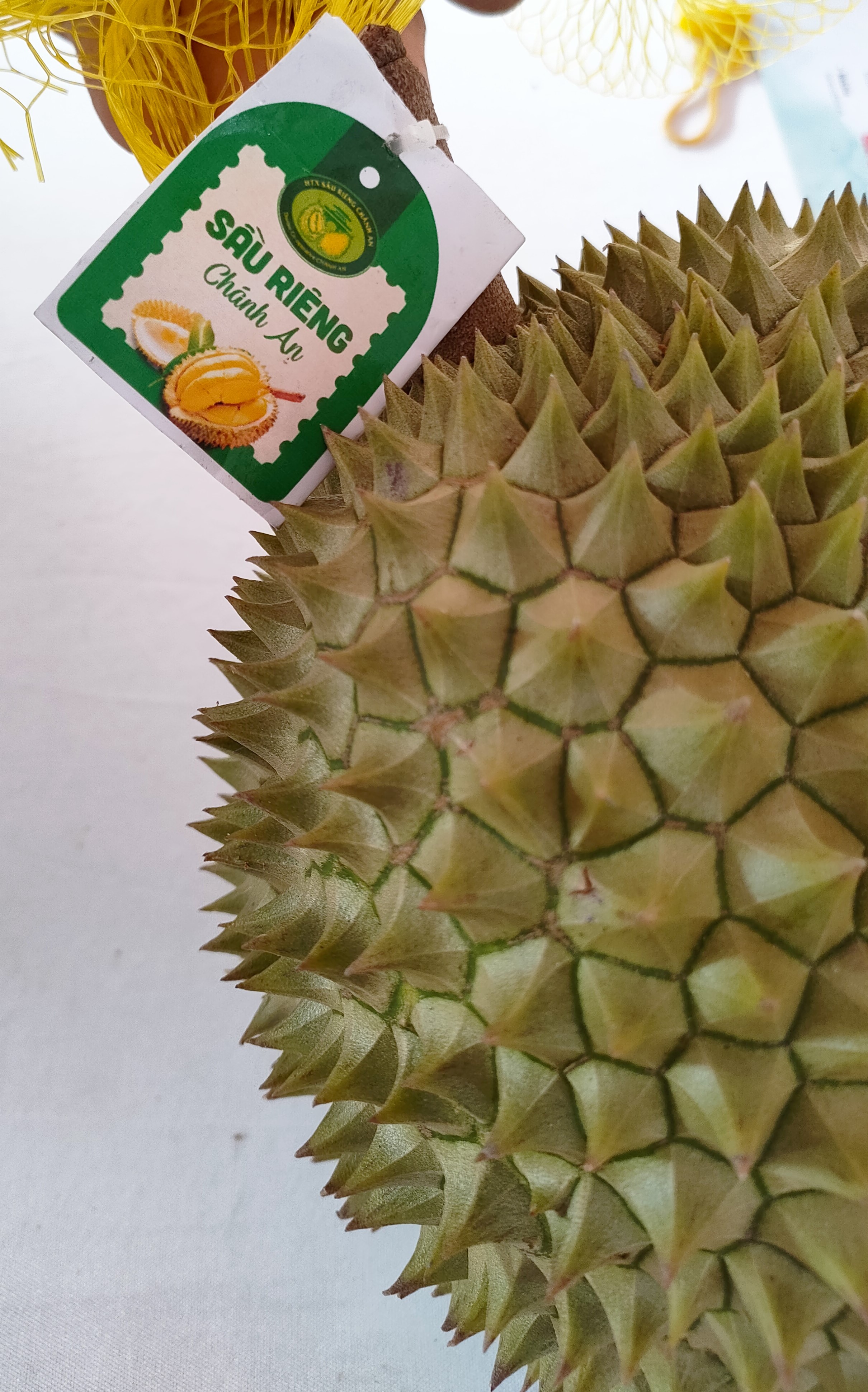 Ảnh 2