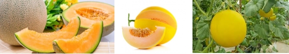 Ảnh 2
