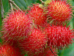 Ảnh 2